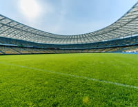 Football : Premier League - Brighton & Hove / Leicester