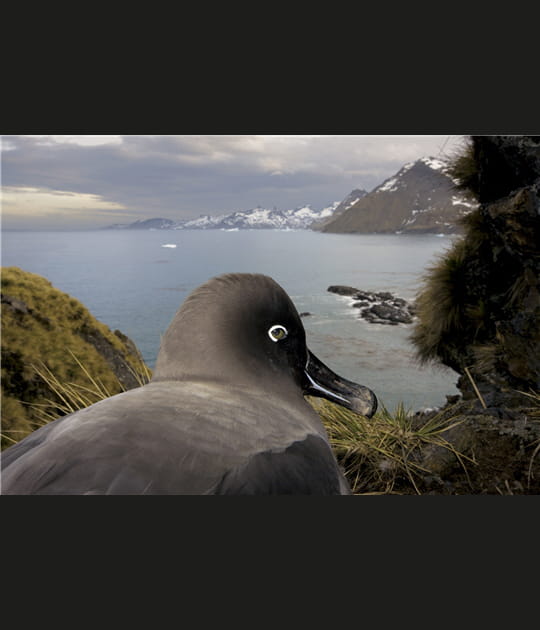 1er prix Reportage nature