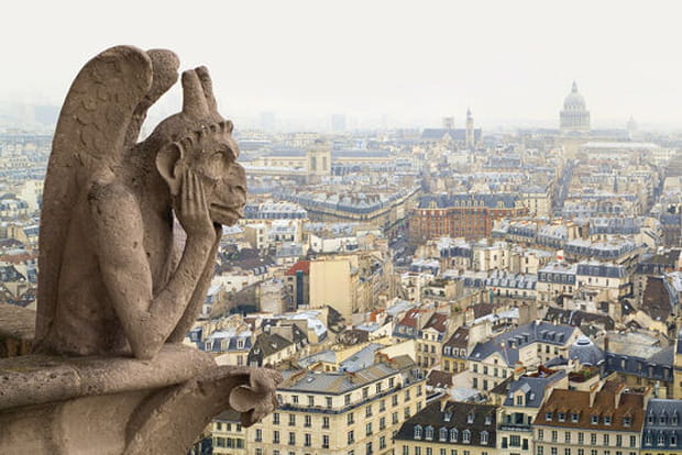 Chimère contemplative à Paris