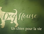 The Dog House