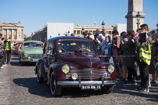 A "quatre pattes" dans la capitale