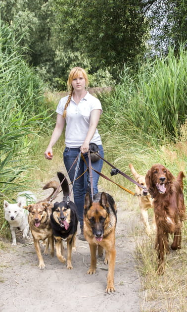 Faire du dog-sitting
