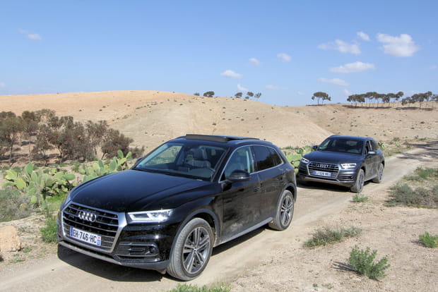 Une version essence 252 chevaux