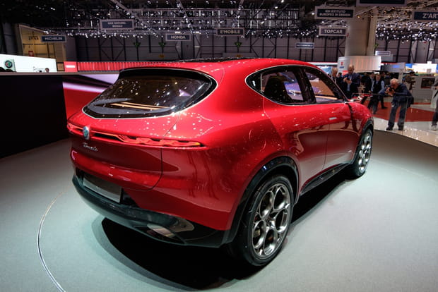 Un dessin musclé mais latin