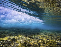 Grande barrière de corail : Un monde à préserver