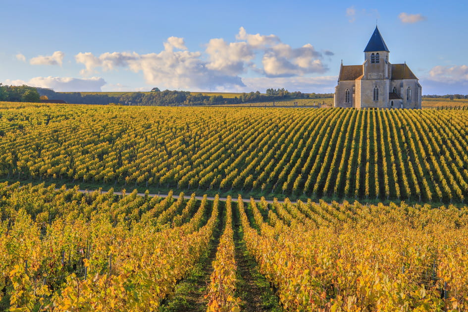 Chablis et ses vignobles, &quot;la porte d'or de la Bourgogne&quot;
