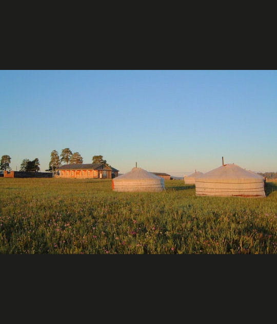 Sous les yourtes de Mongolie
