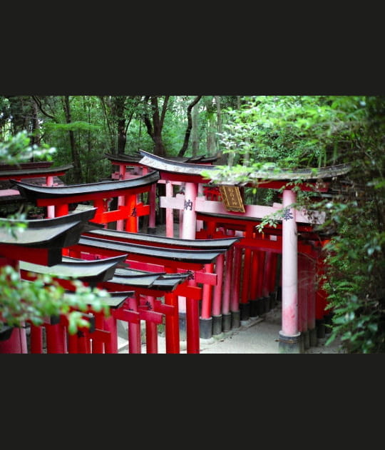 Jardin japonais