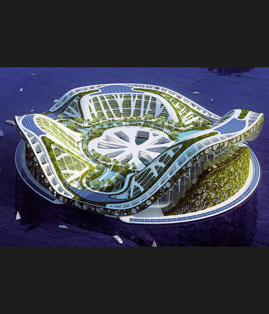 N&eacute;nuphar g&eacute;ant