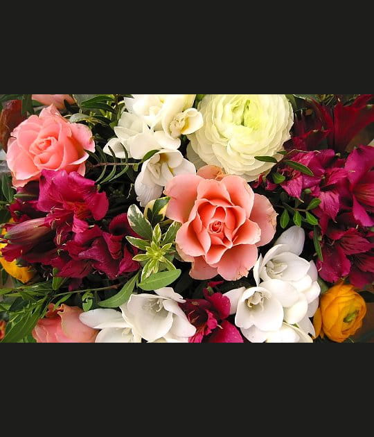 Couleurs diverses