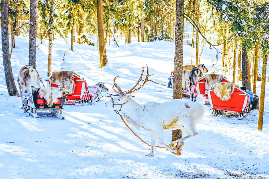 Les pr&eacute;paratifs de No&euml;l