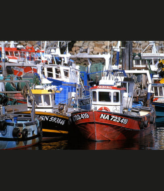 Chalutiers de La Turballe