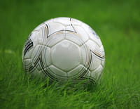 Football : Euro féminin - Norvège / Irlande du Nord