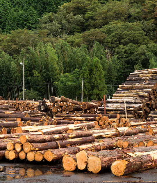 O&ugrave; trouver du bois de chauffage&nbsp;?