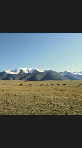 En Mongolie, les steppes et le d&eacute;sert&nbsp;de&nbsp;Gobi