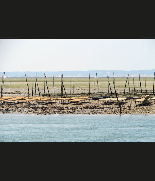 A mar&eacute;e basse