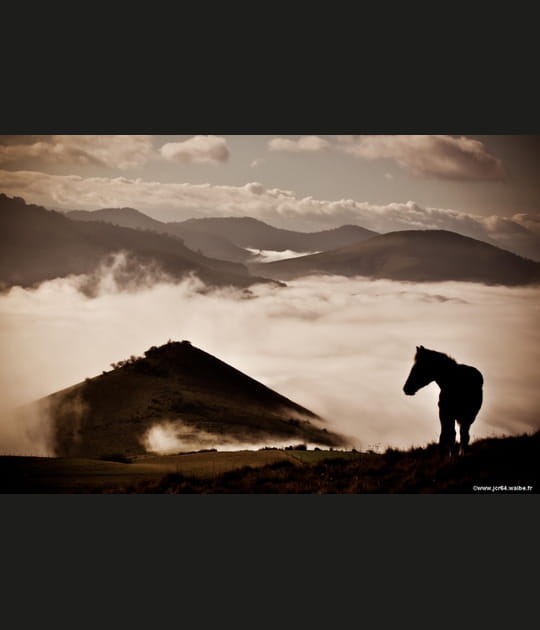 La montagne et le cheval