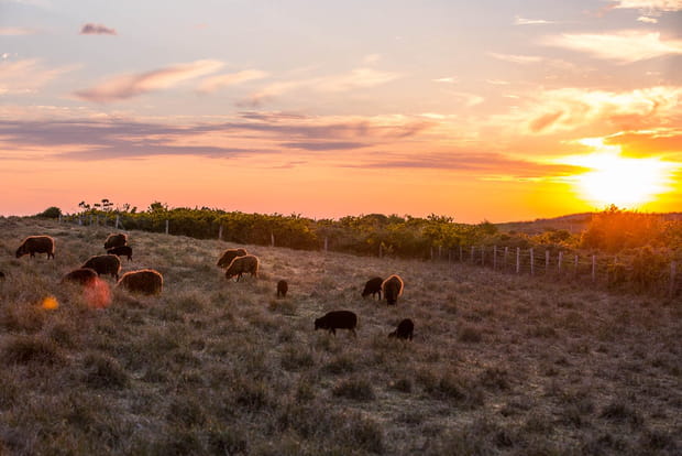 Profiter du coucher de soleil