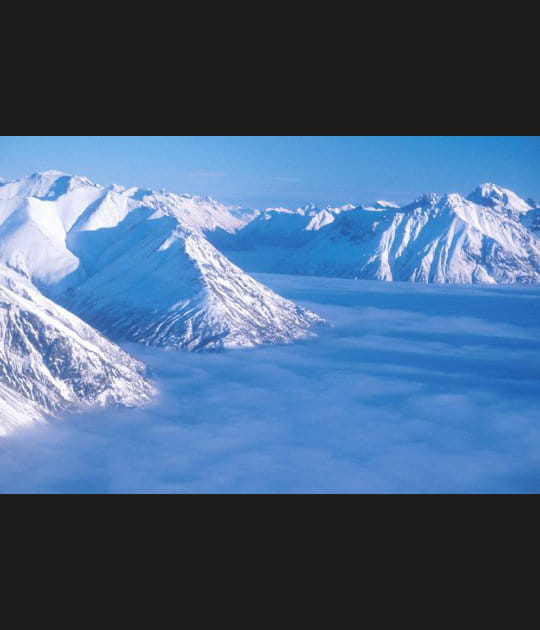Les moutons du lac Clark
