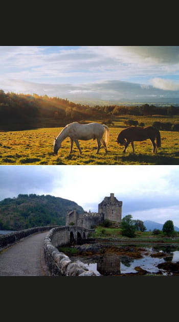Hitchcock en Ecosse