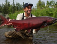 Monster Fish : Incroyables requins