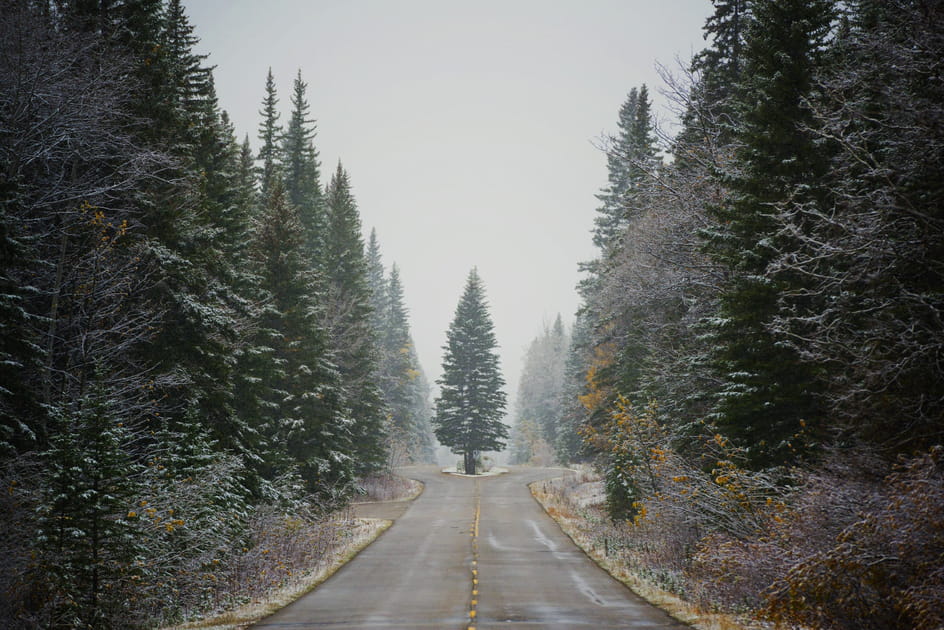 Arbre routier