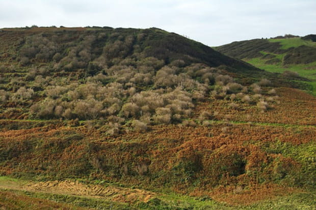 Valleuse d'Antifer en automne