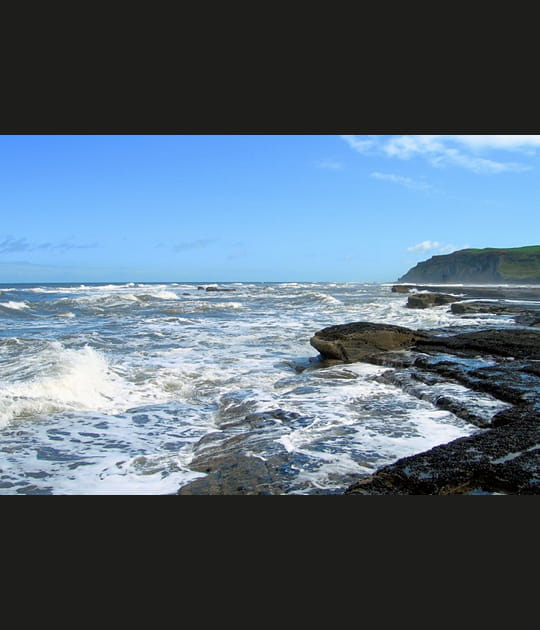Saltburn