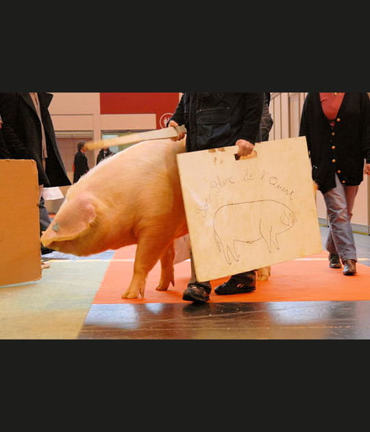 Salon de l'Agriculture 2009