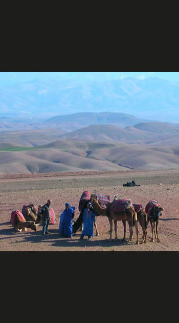 Sur la route des anciennes caravanes