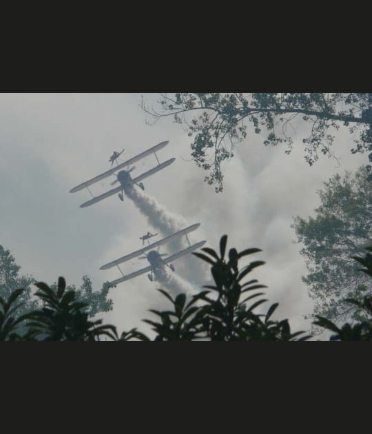 Les filles de l'air