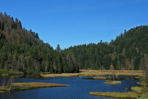 Le lac de Lispach