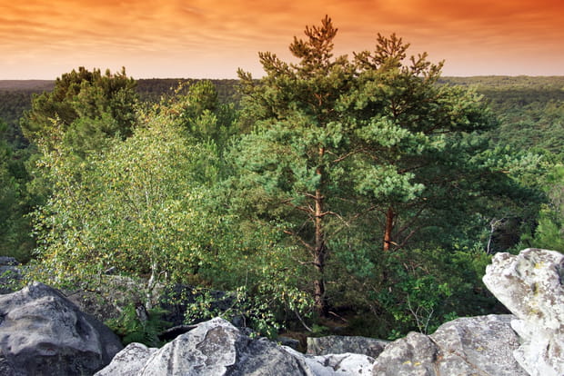 Le Parc Naturel Régional du Gâtinais, Essonne
