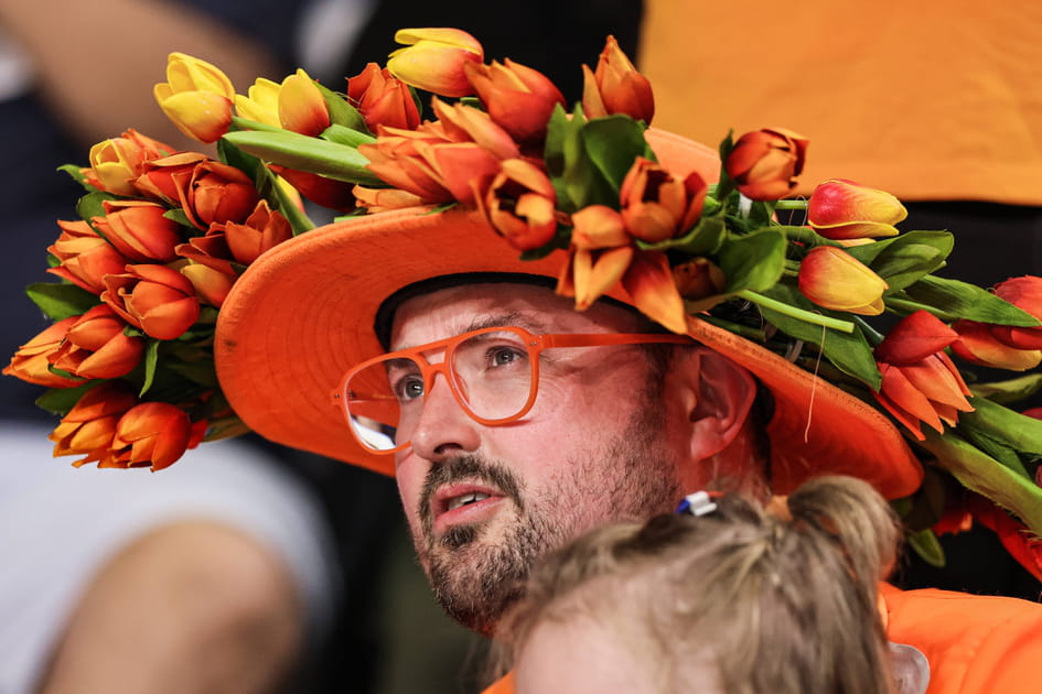 Les tulipes &agrave; l'honneur