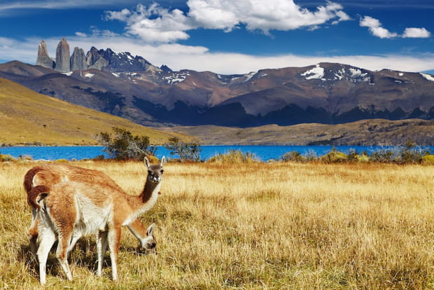 Le parc national Torres del Paine