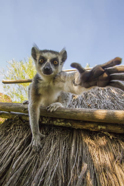 Chasse aux &oelig;ufs de P&acirc;ques au Parc animalier de Sainte-Croix