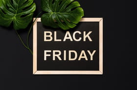 Black Friday 2025&nbsp;: un lancement pr&eacute;cipit&eacute;, voici la date &agrave; laquelle il faut vous pr&eacute;parer