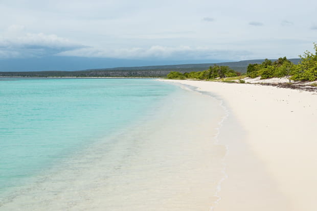 Bahia de las Aguilas