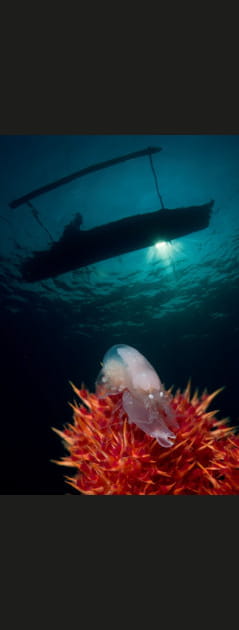 Vue en contre-plong&eacute;e&nbsp;!