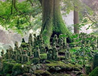 Le Japon vu du ciel : La terre des dieux