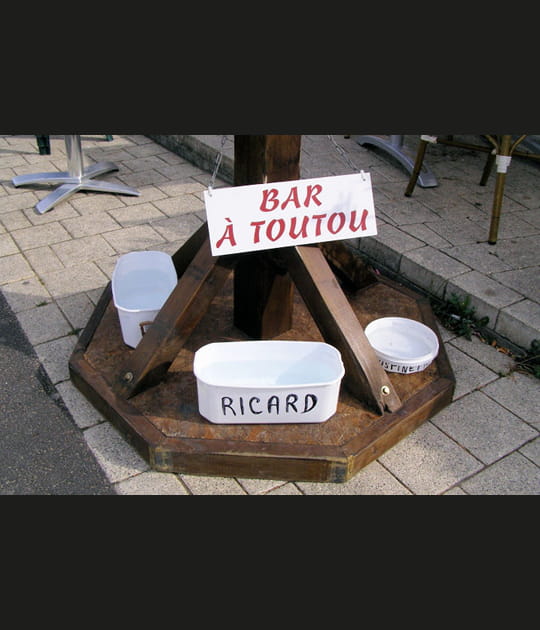 Bistrot canin