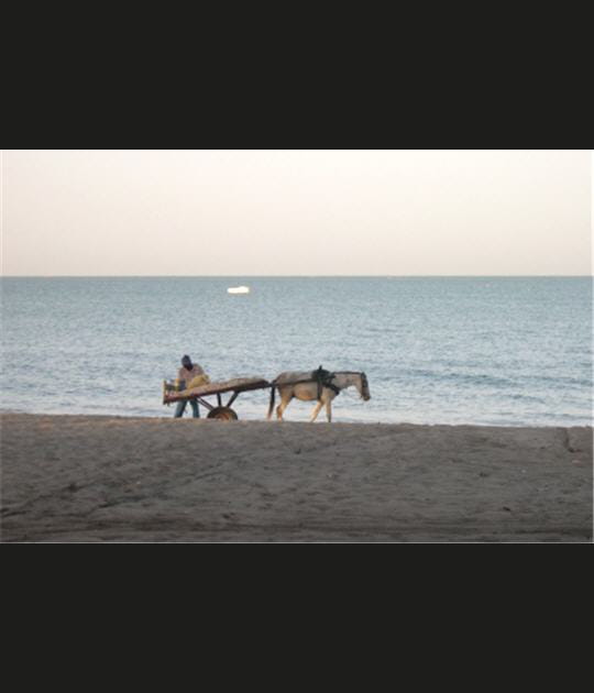 Plage de Nianing au S&eacute;n&eacute;gal