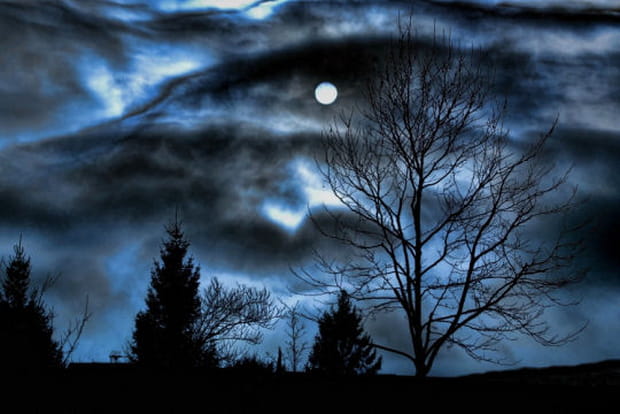 Bleu hivernal dans les Yvelines