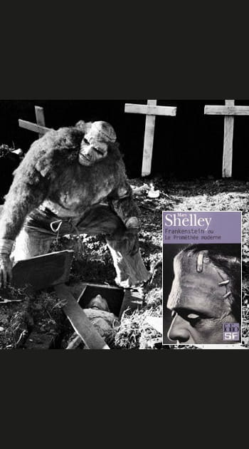 &quot;Frankenstein ou le Prom&eacute;th&eacute;e moderne&quot; de&nbsp;Mary&nbsp;Shelley