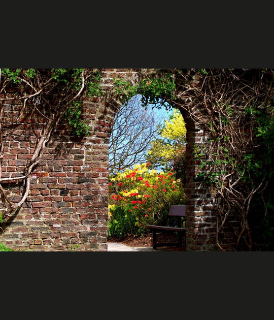 Les fleurs du Seaton Park