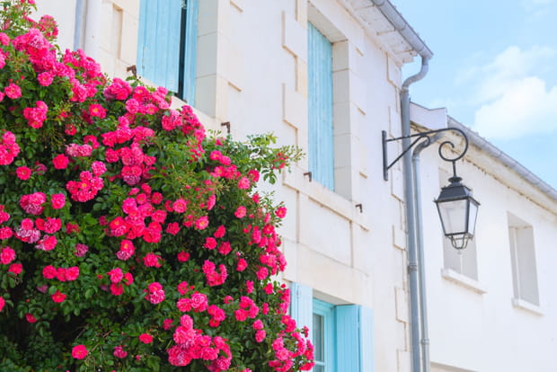 10e : Mornac-sur-Seudre, Charente-Maritime