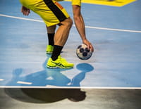 Handball : Championnat du monde masculin - France / Suède