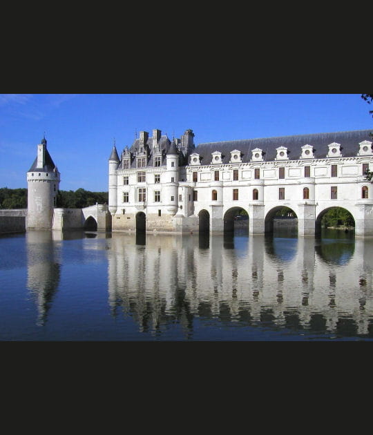 Reflets dans le Cher