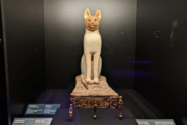 Cercueil pour la momie d'un chat