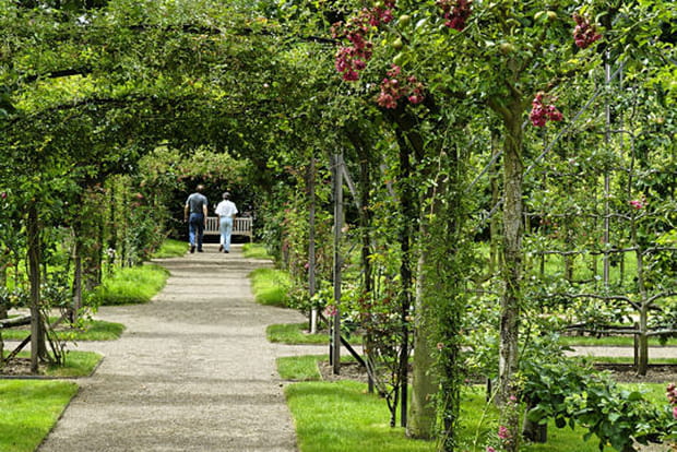 Les jardins du musée Albert-Kahn